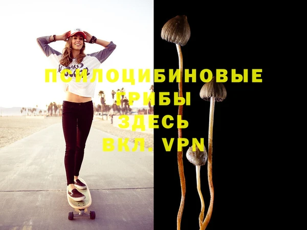 СК Киреевск