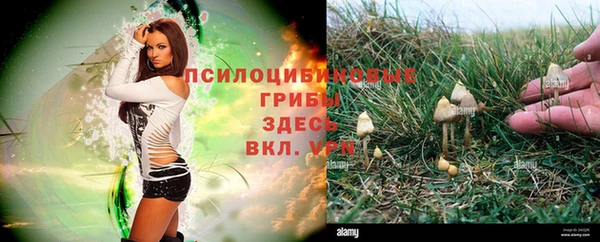 кокаин колумбия Киренск