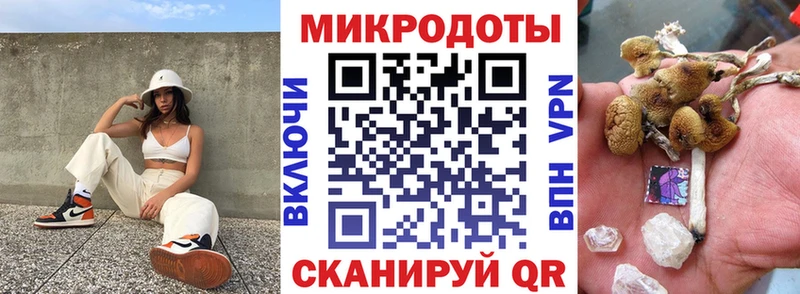 купить наркоту  Лесозаводск  Псилоцибиновые грибы Magic Shrooms 