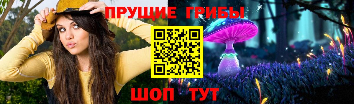 Псилоцибиновые грибы Magic Shrooms  Вход с VPN  Лесозаводск  Галлюциногенные грибы Psilocybine cubensis 