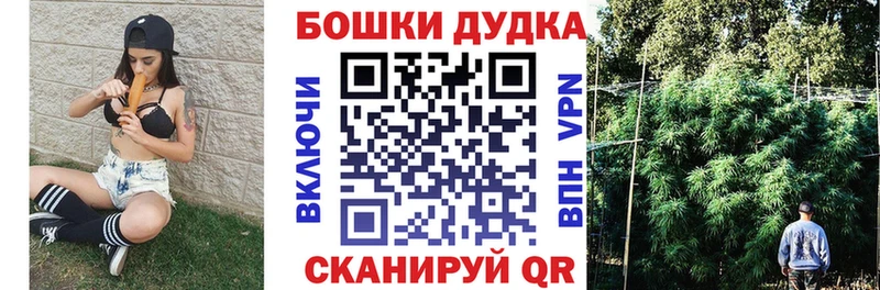 Каннабис OG Kush  Лесозаводск 